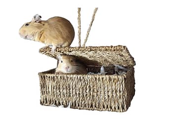 Chewbasket nesting box product shot