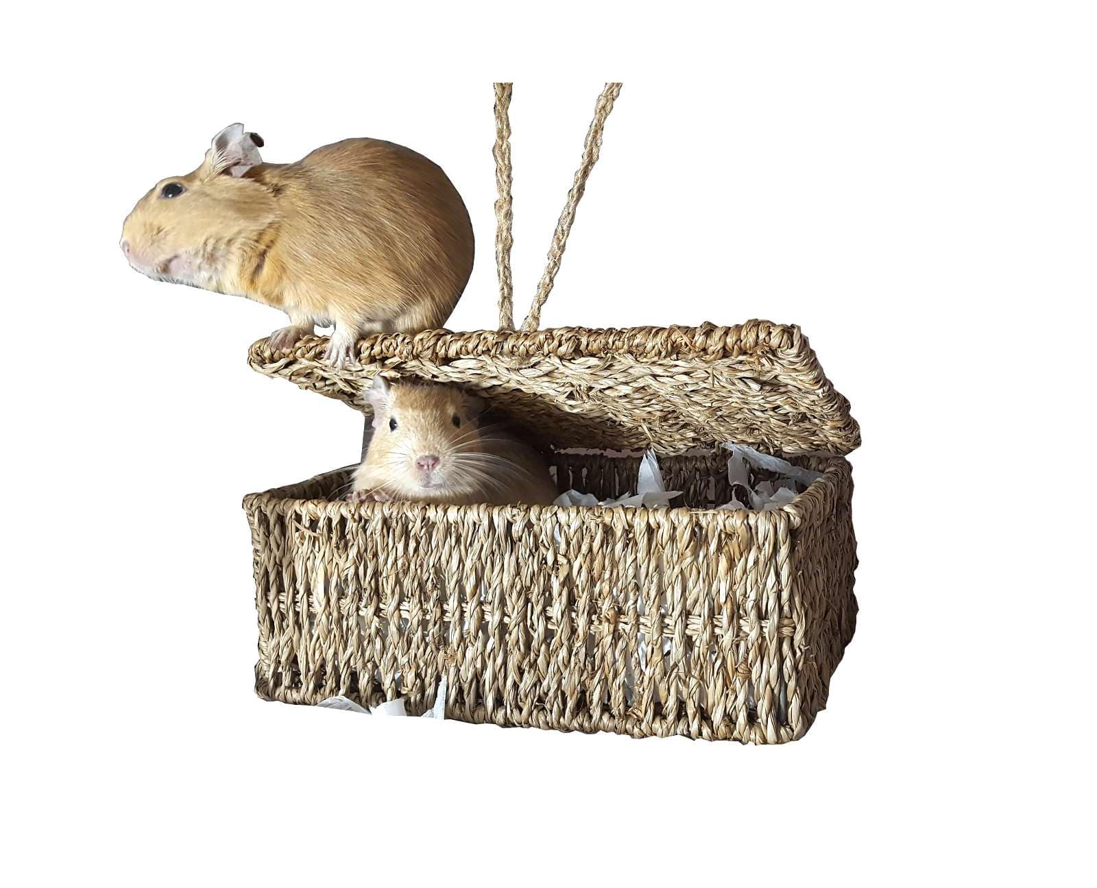 Totally Degu Chewbasket Small Pet bed/Nesting Box Totally Degu