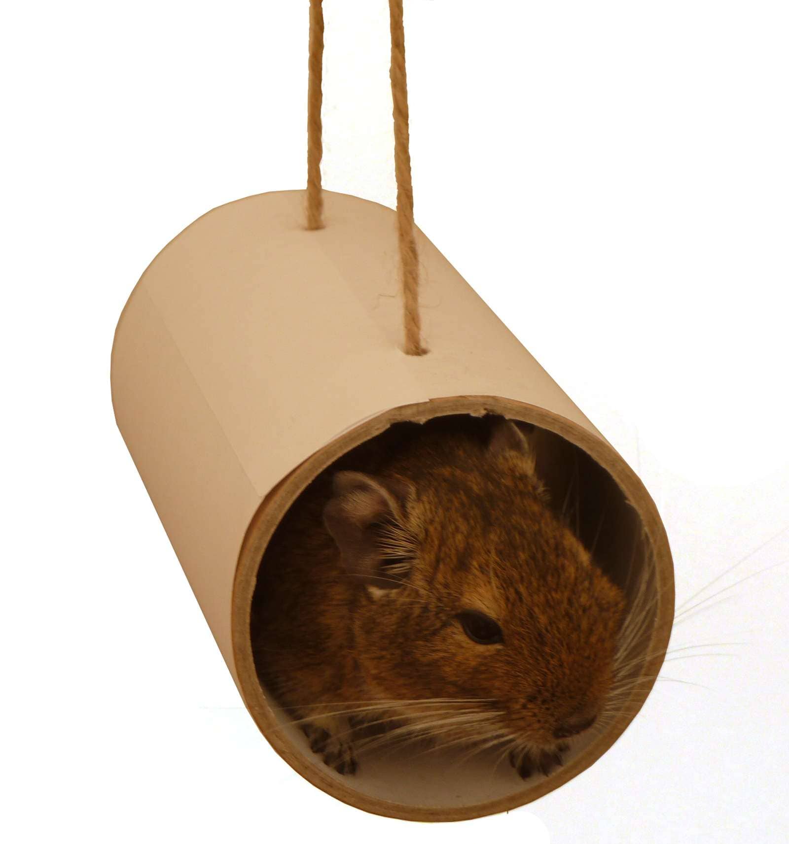 Diy degu toys online