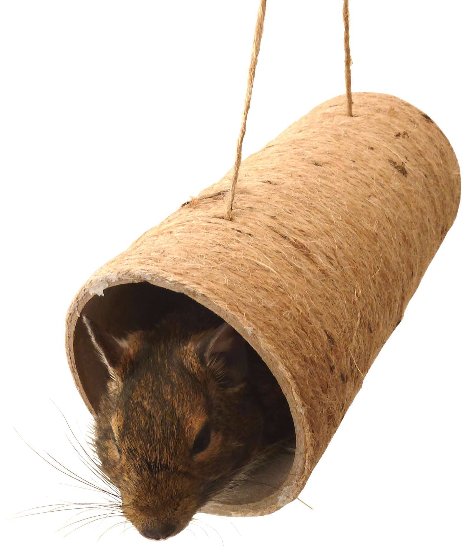 Degu toys store